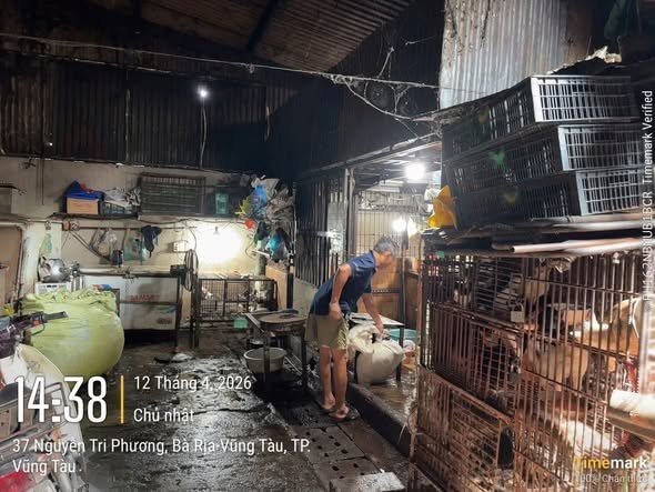 Kiểm tra 2 hộ kinh doanh thịt chó, mèo