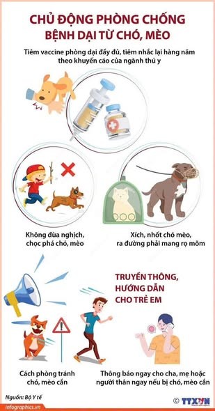 Thực hiện "5 không" để ngăn chặn bệnh dại