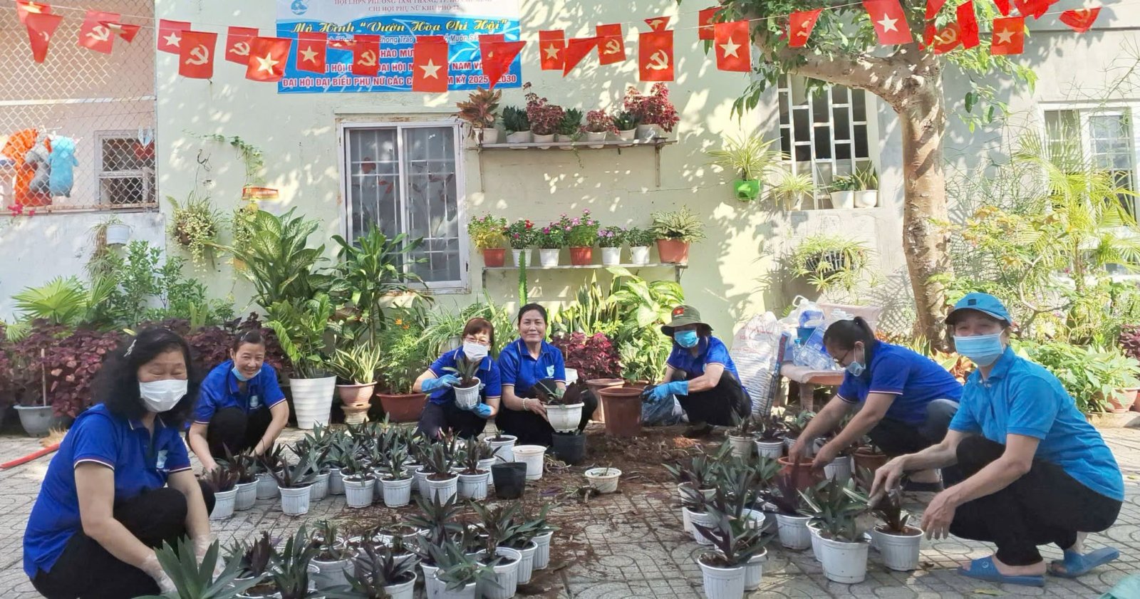 Trồng 150 chậu hoa tầm thấp trên đường Nguyễn Tri Phương